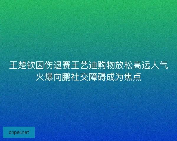 王楚钦因伤退赛王艺迪购物放松高远人气火爆向鹏社交障碍成为焦点