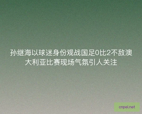 孙继海以球迷身份观战国足0比2不敌澳大利亚比赛现场气氛引人关注